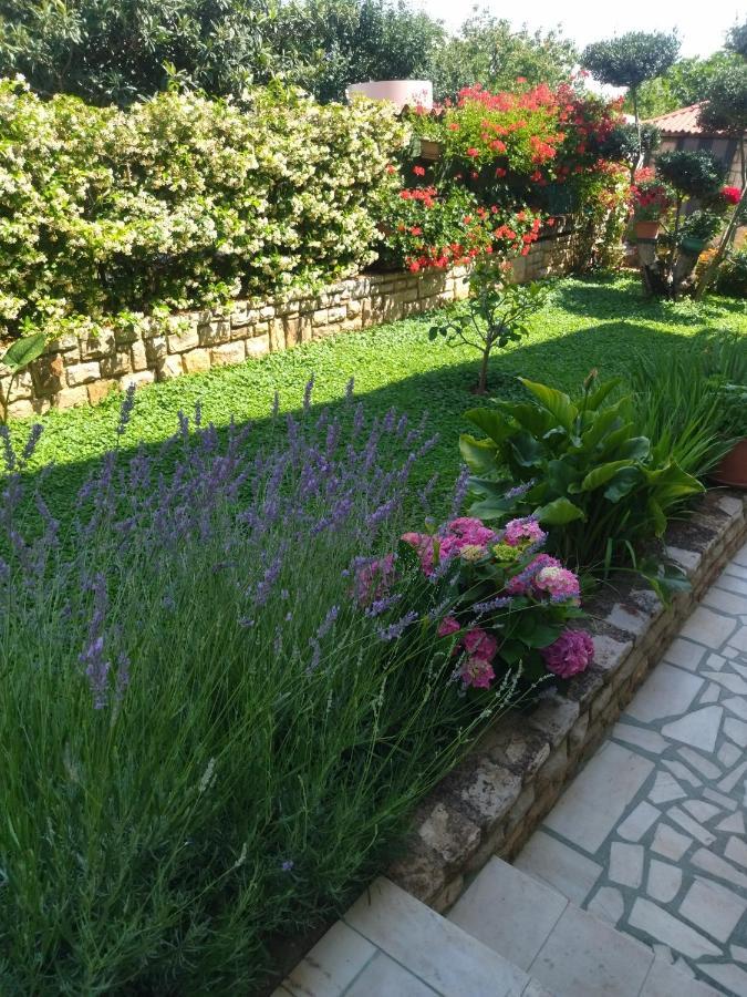 Zelena Oaza Apartment Novigrad  Bagian luar foto