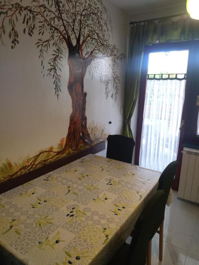 Zelena Oaza Apartment Novigrad  Bagian luar foto