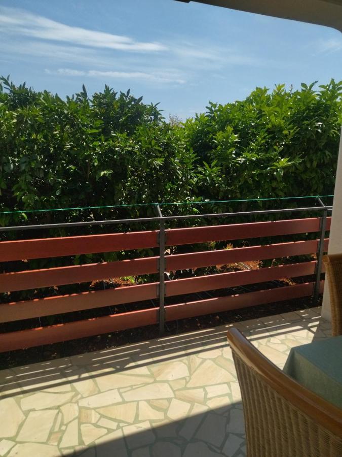 Zelena Oaza Apartment Novigrad  Bagian luar foto