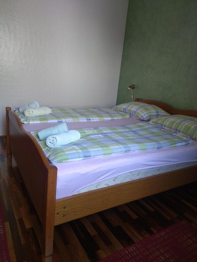 Zelena Oaza Apartment Novigrad  Bagian luar foto
