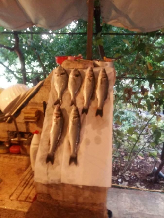 Zelena Oaza Apartment Novigrad  Bagian luar foto