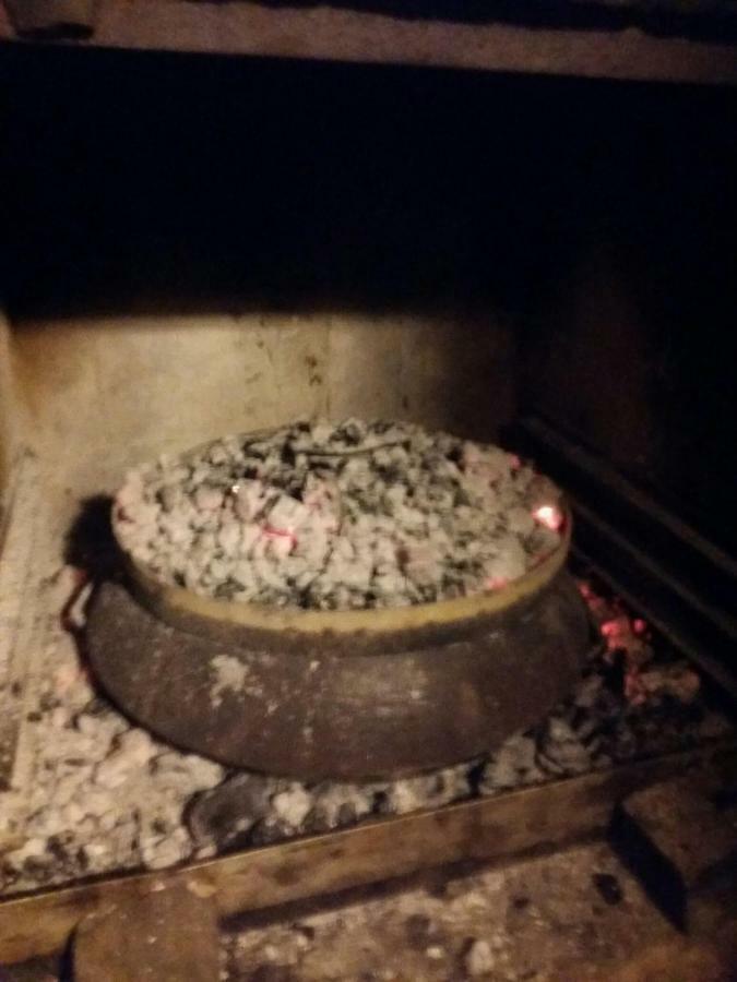 Zelena Oaza Apartment Novigrad  Bagian luar foto