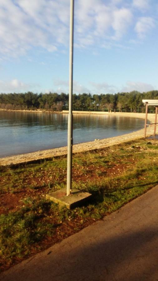 Zelena Oaza Apartment Novigrad  Bagian luar foto